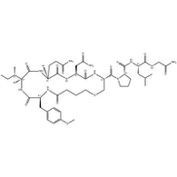 Hemorrhage Carbetocin Postpartum